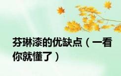芬琳漆的优缺点（一看你就懂了）