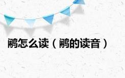 鹇怎么读（鹇的读音）