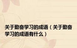 关于勤奋学习的成语（关于勤奋学习的成语有什么）