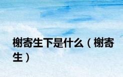 榭寄生下是什么（榭寄生）