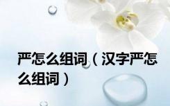 严怎么组词（汉字严怎么组词）