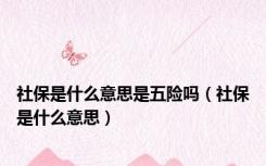 社保是什么意思是五险吗（社保是什么意思）