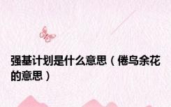 强基计划是什么意思（倦鸟余花的意思）