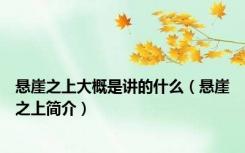 悬崖之上大概是讲的什么（悬崖之上简介）