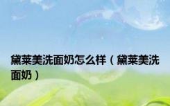 黛莱美洗面奶怎么样（黛莱美洗面奶）