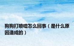 狗狗打喷嚏怎么回事（是什么原因造成的）