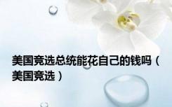 美国竞选总统能花自己的钱吗（美国竞选）