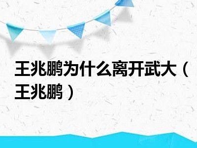 王兆鹏为什么离开武大（王兆鹏）