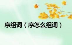 序组词（序怎么组词）