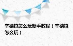 辛德拉怎么玩新手教程（辛德拉怎么玩）