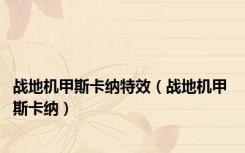 战地机甲斯卡纳特效（战地机甲 斯卡纳）