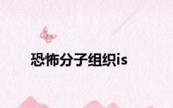 恐怖分子组织is