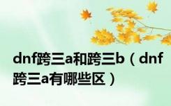 dnf跨三a和跨三b（dnf跨三a有哪些区）