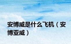 安博威是什么飞机（安博亚威）