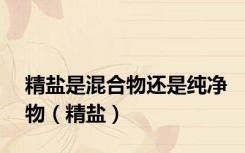 精盐是混合物还是纯净物（精盐）