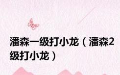 潘森一级打小龙（潘森2级打小龙）