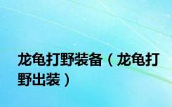 龙龟打野装备（龙龟打野出装）