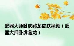 武器大师卧虎藏龙皮肤视频（武器大师卧虎藏龙）