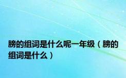 膀的组词是什么呢一年级（膀的组词是什么）