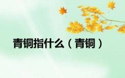 青铜指什么（青铜）