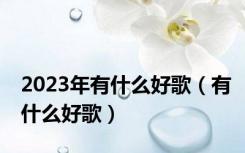 2023年有什么好歌（有什么好歌）