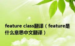 feature class翻译（feature是什么意思中文翻译）