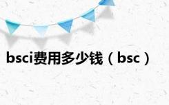 bsci费用多少钱（bsc）