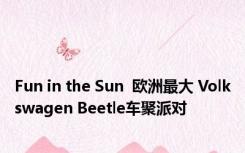 Fun in the Sun  欧洲最大 Volkswagen Beetle车聚派对