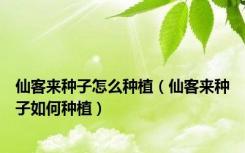 仙客来种子怎么种植（仙客来种子如何种植）