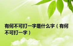 有何不可打一字是什么字（有何不可打一字）