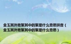 金玉其外败絮其中的絮是什么意思拼音（金玉其外败絮其中的絮是什么意思）