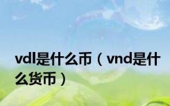 vdl是什么币（vnd是什么货币）
