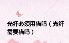 光纤必须用猫吗（光纤需要猫吗）
