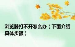 浏览器打不开怎么办（下面介绍具体步骤）