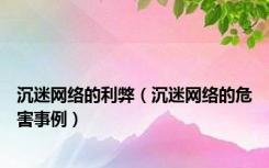 沉迷网络的利弊（沉迷网络的危害事例）