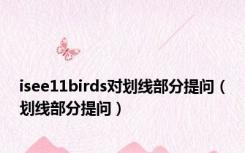 isee11birds对划线部分提问（划线部分提问）