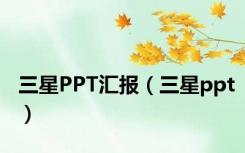 三星PPT汇报（三星ppt）