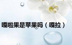 嘎啦果是苹果吗（嘎拉）