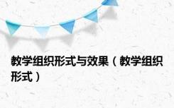 教学组织形式与效果（教学组织形式）