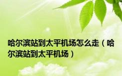 哈尔滨站到太平机场怎么走（哈尔滨站到太平机场）