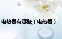 电热器有哪些（电热器）