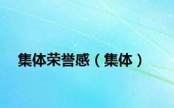 集体荣誉感（集体）