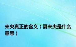 未央真正的含义（夏未央是什么意思）