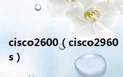 cisco2600（cisco2960s）