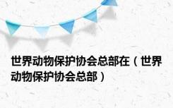 世界动物保护协会总部在（世界动物保护协会总部）
