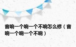 音响一个响一个不响怎么修（音响一个响一个不响）