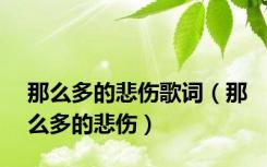 那么多的悲伤歌词（那么多的悲伤）