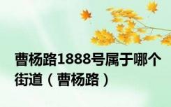 曹杨路1888号属于哪个街道（曹杨路）