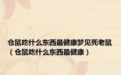 仓鼠吃什么东西最健康梦见死老鼠（仓鼠吃什么东西最健康）