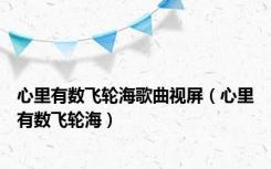 心里有数飞轮海歌曲视屏（心里有数飞轮海）